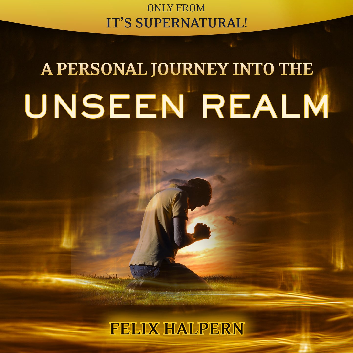 A Personal Journey into the Unseen Realm (Audio Download) by Rabbi Felix Halpern; Code: 4180D