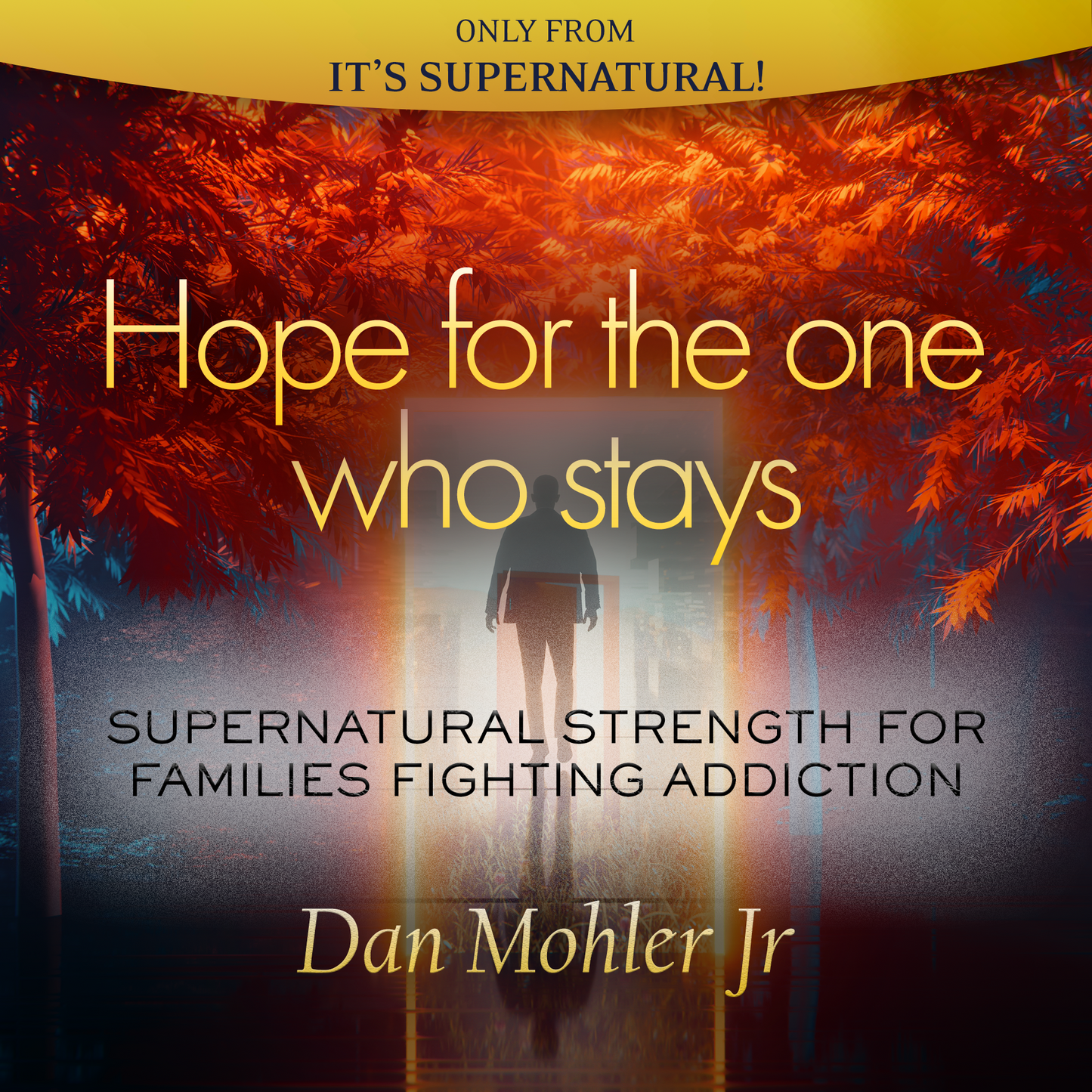 Get Unstuck & Hope for the One Who Stays (FREE Digital eBook & Audio Download); Code: 4222D